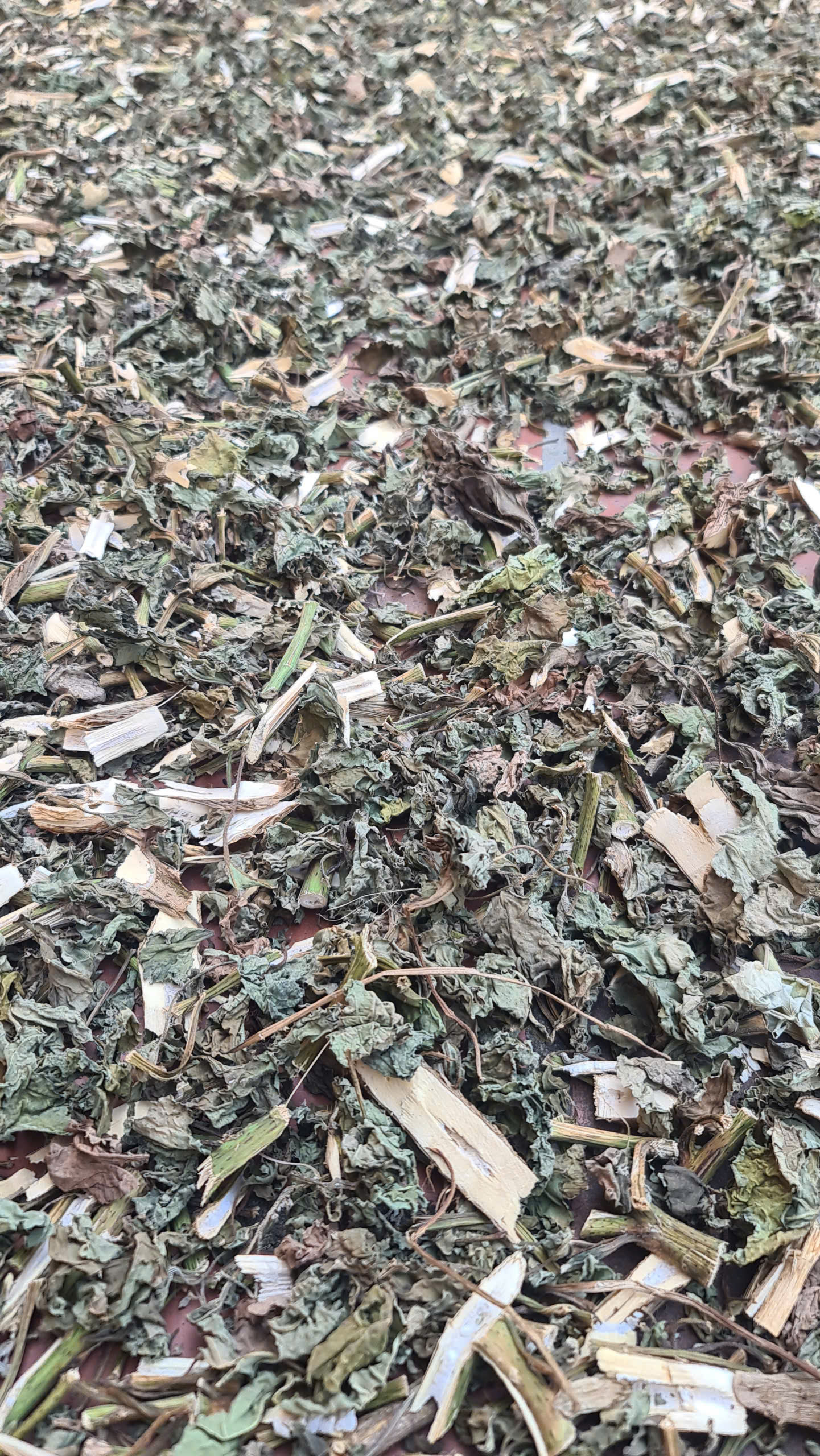 Thuốc đông y chữa bệnh an toàn không tác dụng phụ 