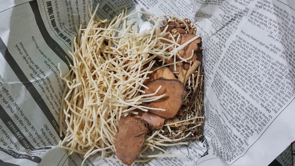 Thuốc Đông Y Chữa Sùi Mào Gà Hiệu Quả Ra Sao